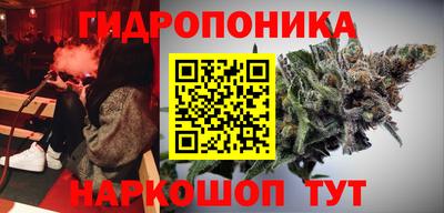 крисы Свободный
