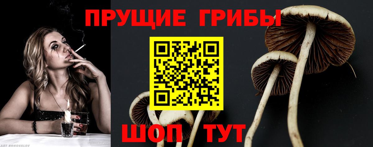 Галлюциногенные грибы ЛСД Псков